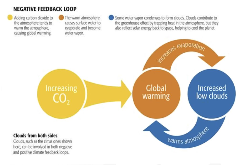 negative feedback loop illustration