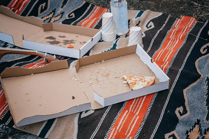 empty pizza boxes on a picnic blanket