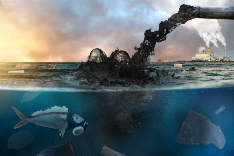 Ocean Dumping: What It is and How It Harms Our Environment