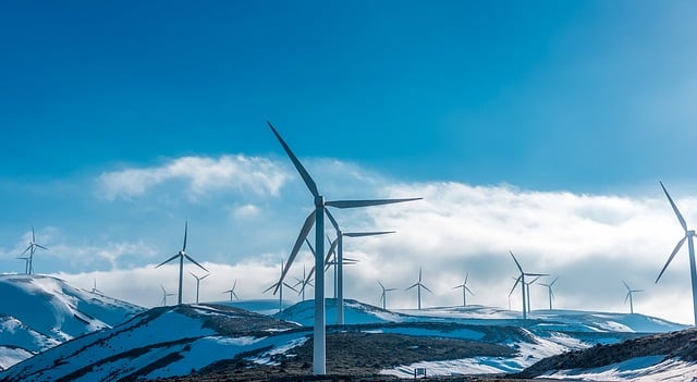 Onshore vs Offshore Wind: What Are the Differences and Facts?
