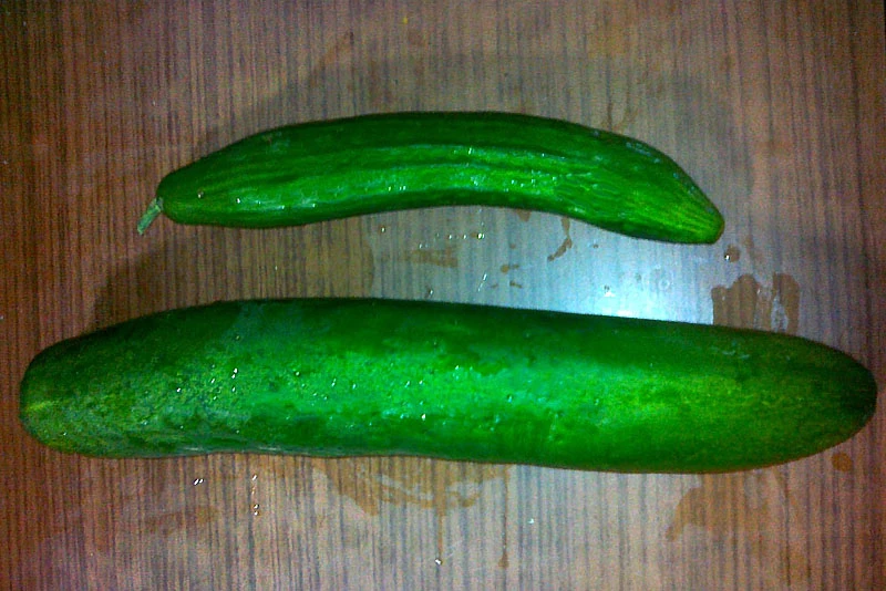 organic and GM cucumbers on a wooden table