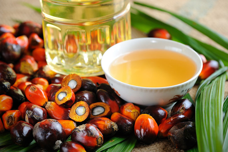 oil palm fruits and palm oil in a white bowl