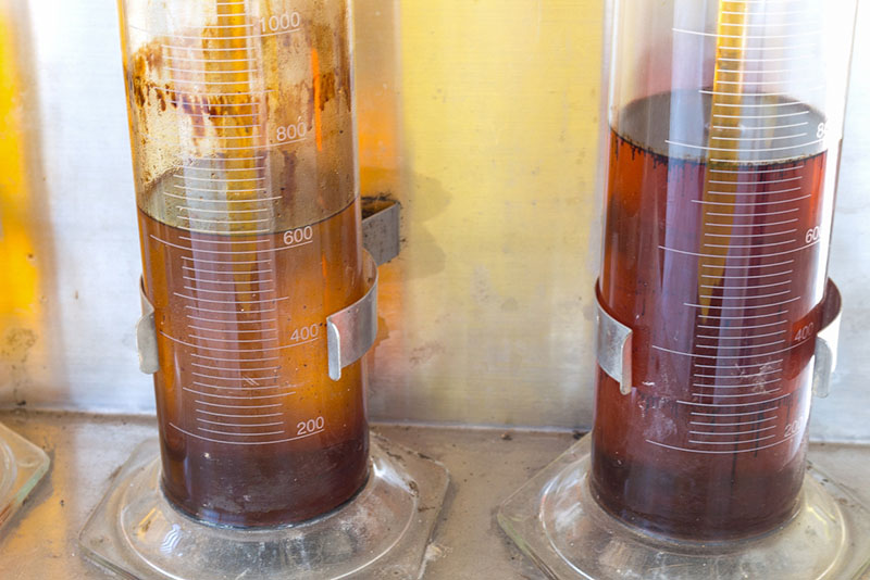 palm oil derived biodiesel in glass tubes