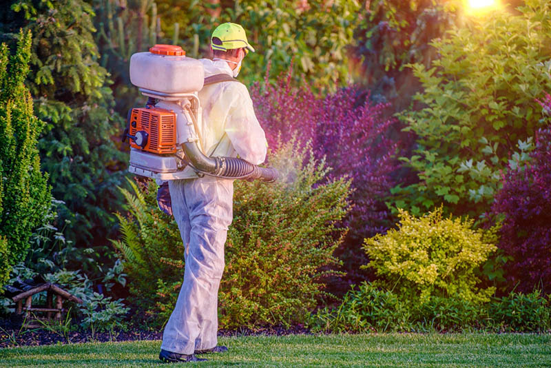 a man in a protective gear spraying garden plants