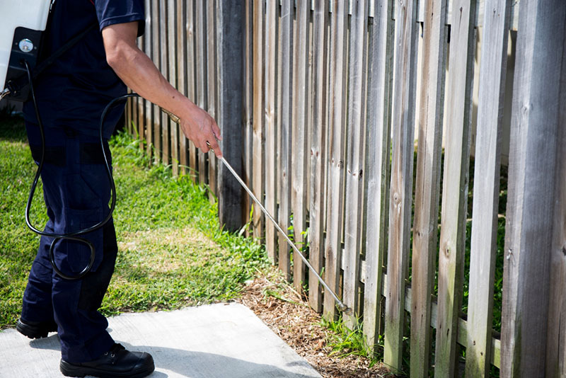 pest control worker spraying the ground