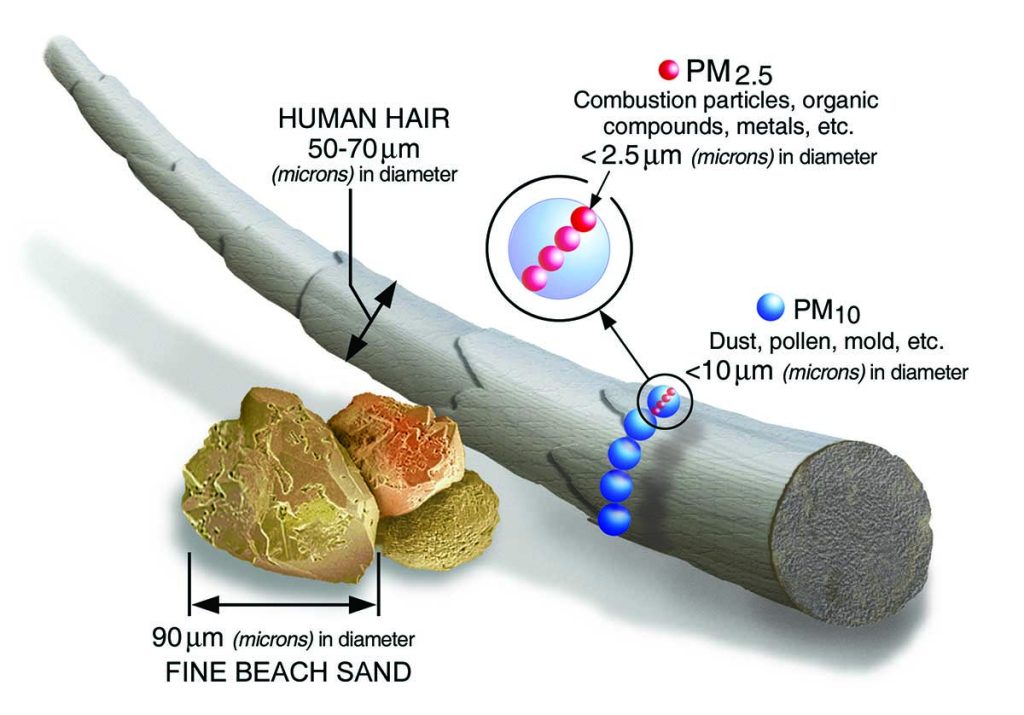 PM particles vs human hair and find beach sand