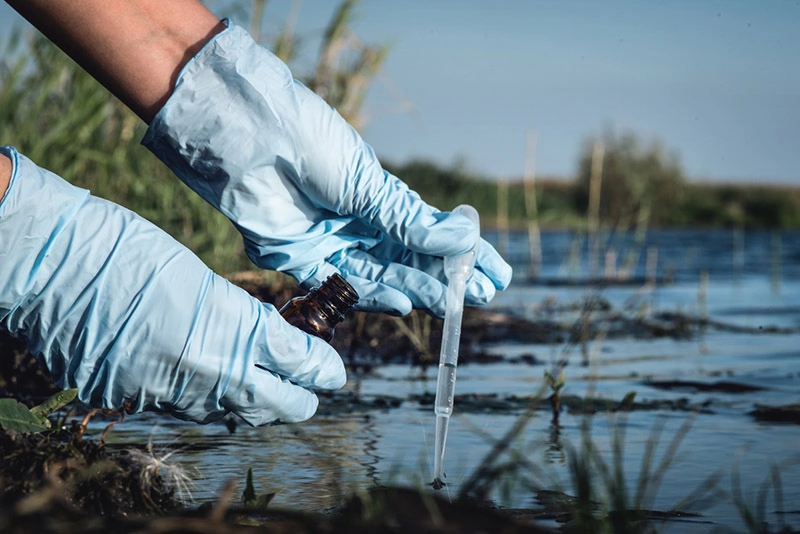 a person taking a sample from a polluted water pond
