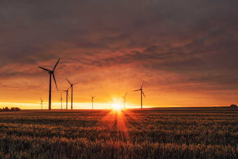 64 Best Quotes About Sustainability (Including Inspiring, Funny & Short)