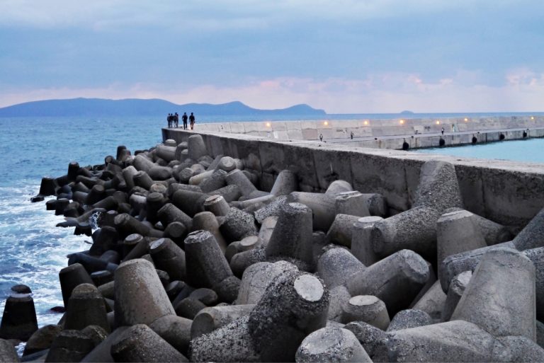 Sea Wall Advantages and Disadvantages: What You Should Know?