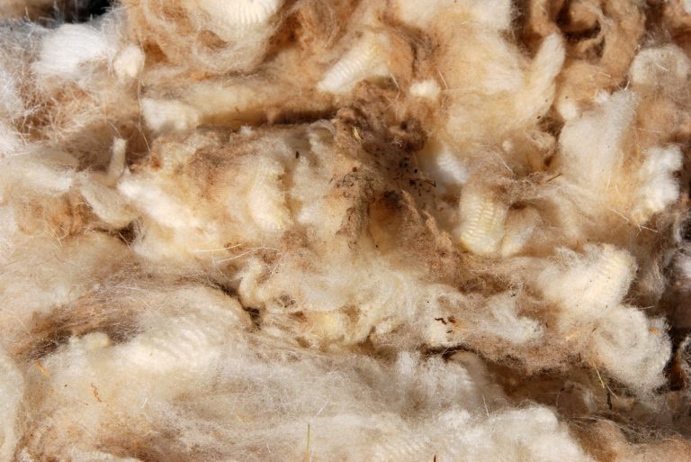 Sheep’s Wool Insulation: Is It the Right Choice for My Home?
