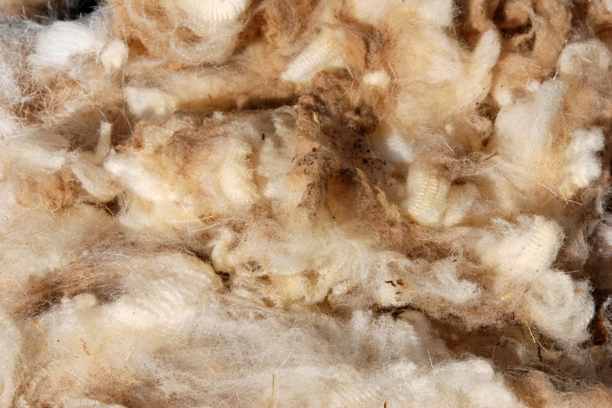 sheep's wool insulation