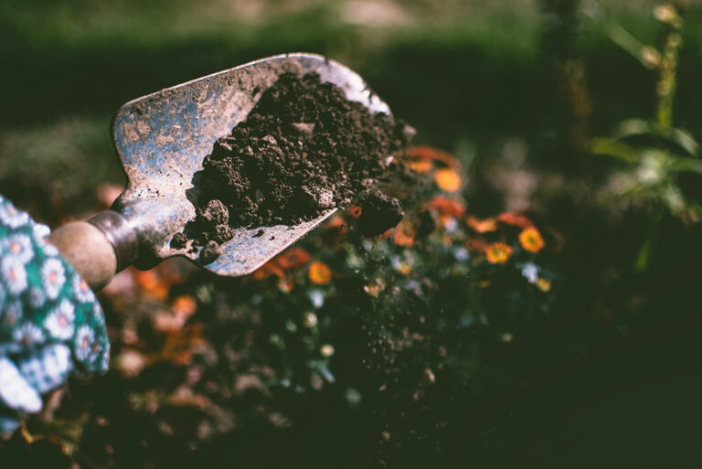 How to Keep Soil Healthy: 10 of the Best Soil Conservation Methods