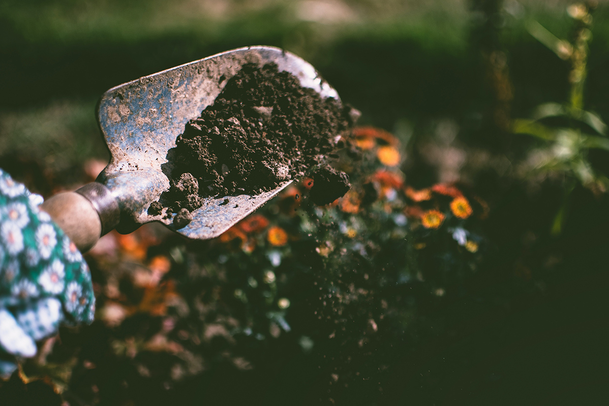 soil conservation methods