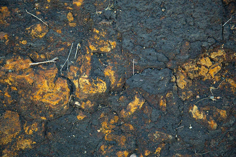 contaminated soil