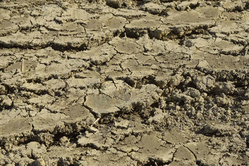soil degradation