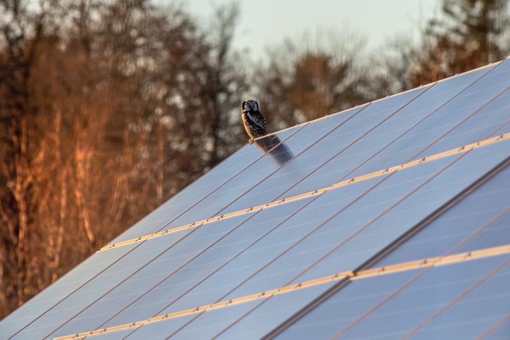 do solar panels work in cold weather 