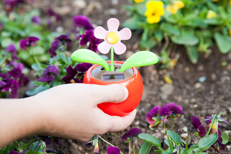 solar powered toy flower