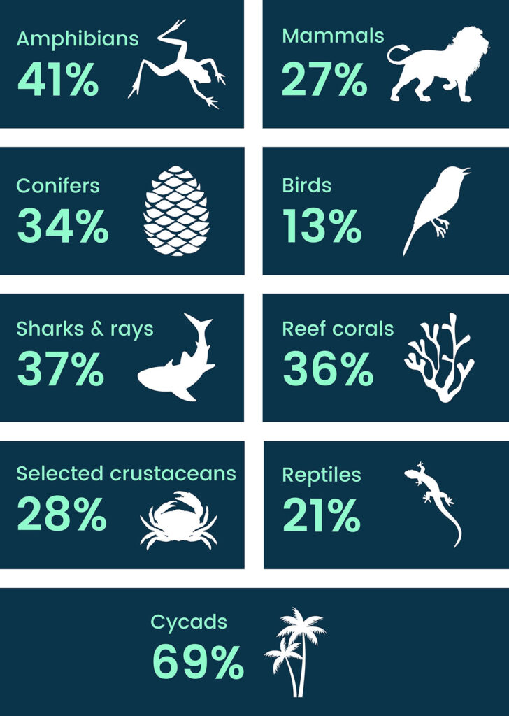 species threatened with extinction breakdown