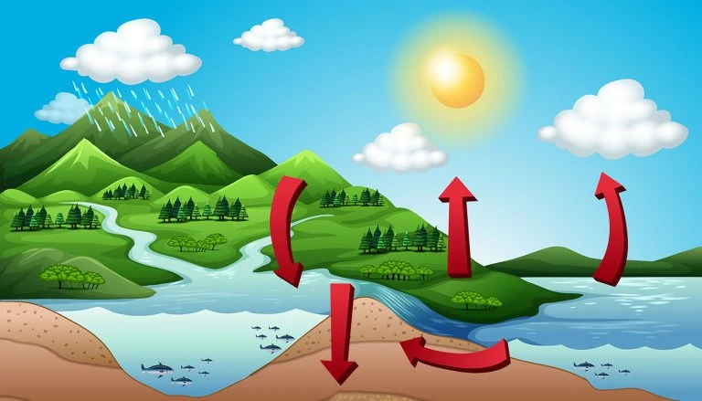 Sustainability and the Water Cycle During a Climate Crisis