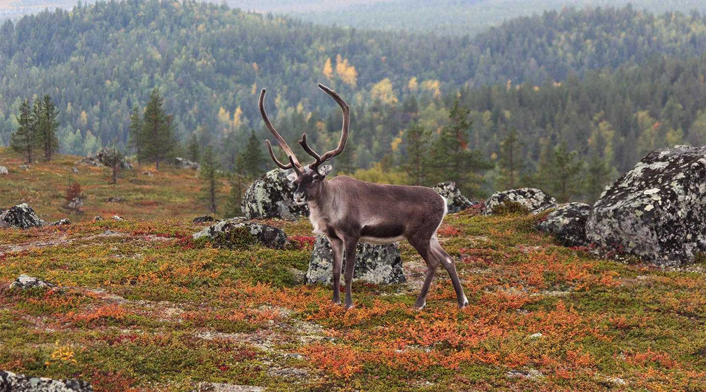 threats to biodiversity