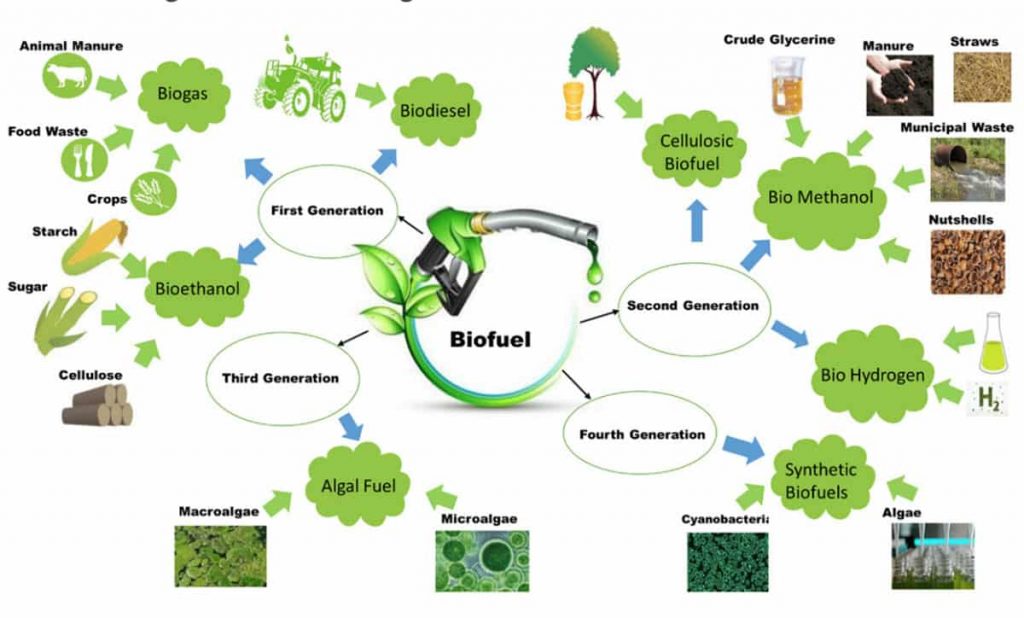 Types of biofuels