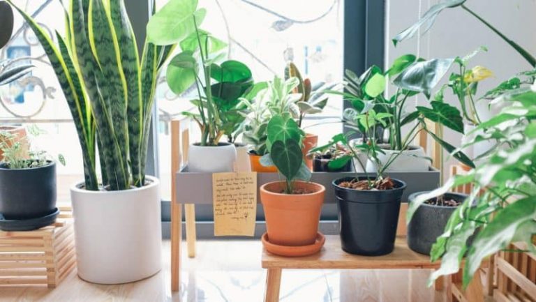 9 Tips for Creating an Eco-Friendly Bedroom