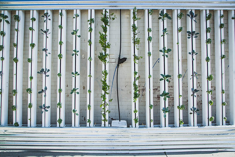 vertical farm