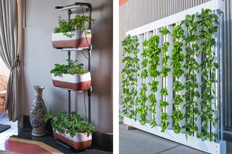 indoor vs outdoor vertical farm