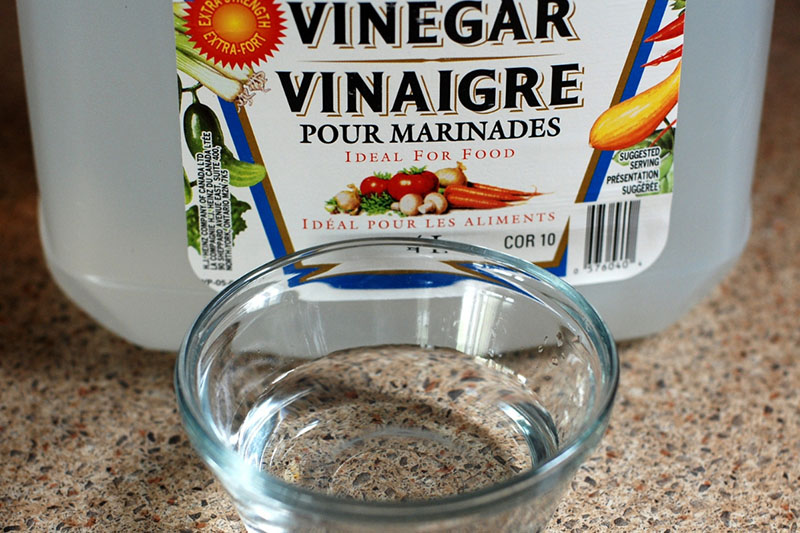 a bottle of vinegar