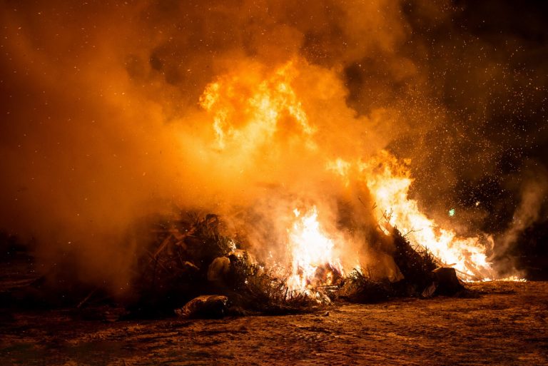 Waste Incineration Pros and Cons: is It a Good Idea?