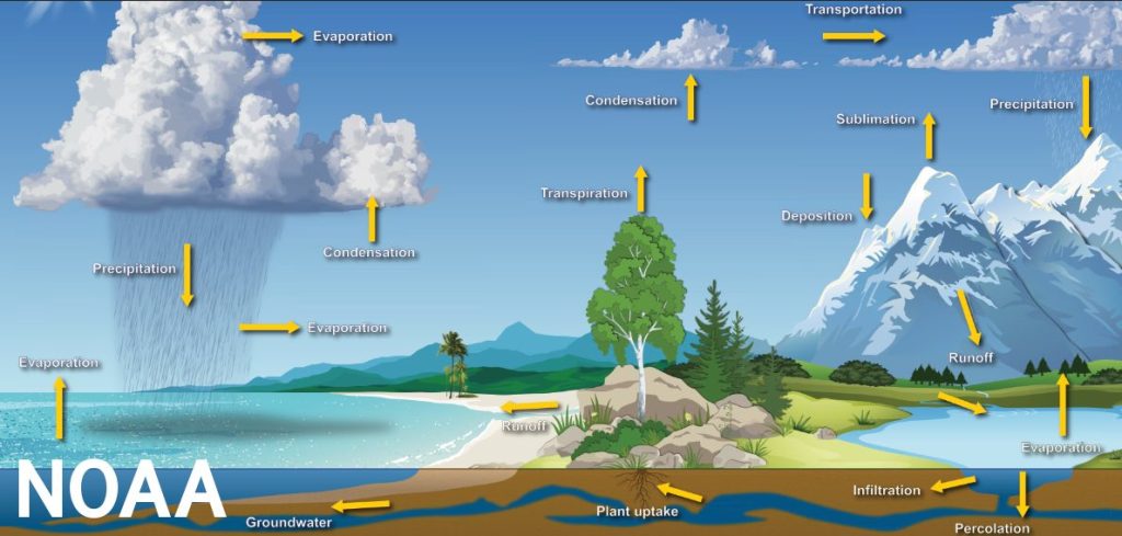 water cycle diagram