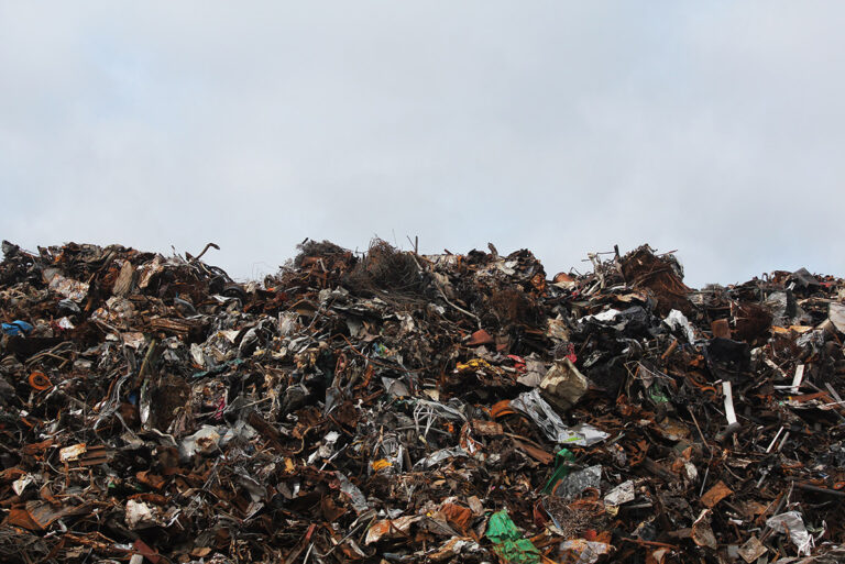 25+ Ways to Reduce Landfill Waste That Will Really Make a Difference