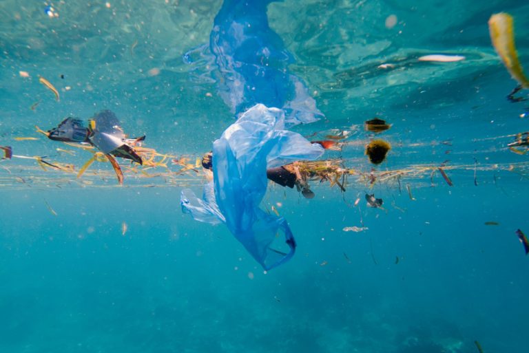 16 Ways to Reduce Water Pollution