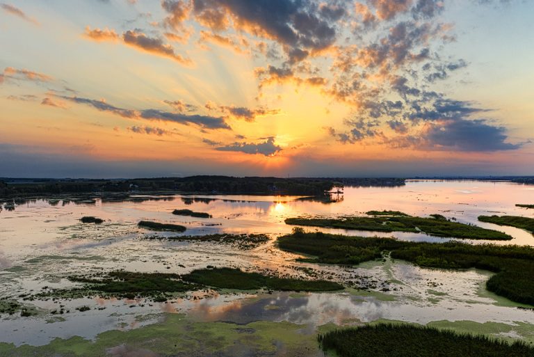 Wetland Mitigation: All You Need to Know About This Critical Process