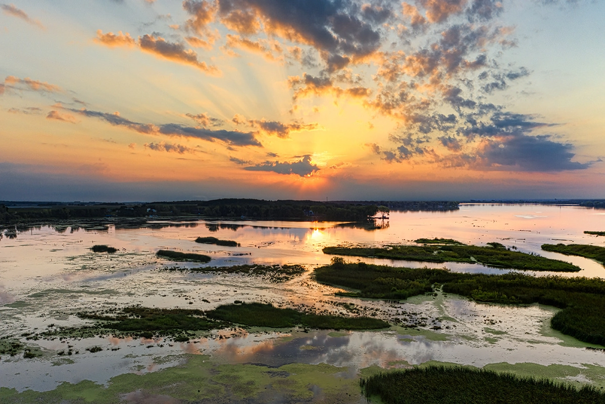 wetland mitigation