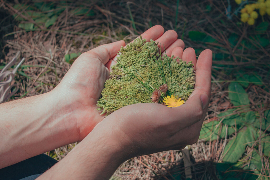 why should we care for the environment