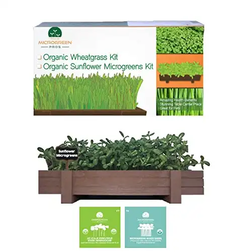 Microgreen Pros Organic Microgreens Growing Kit