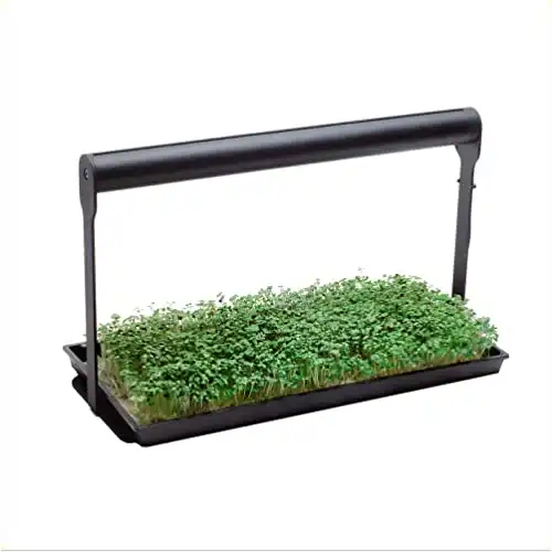 Mother MicroFarm Microgreen Gardening Kit