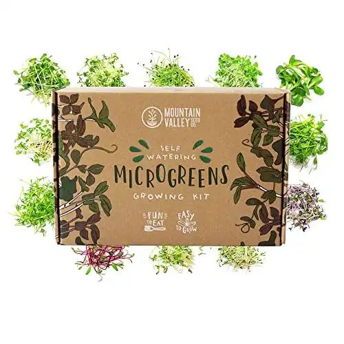 Mountain Valley Seed Co. Self Watering Microgreens Growing Kit