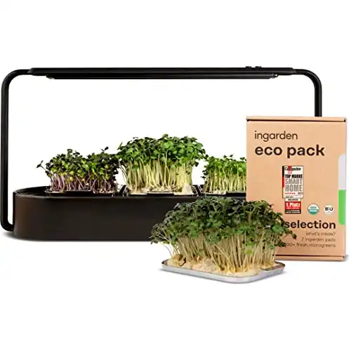 Ingarden Superfood Microgreens Growing Kit